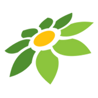 ANIMATE FROM AUDIO